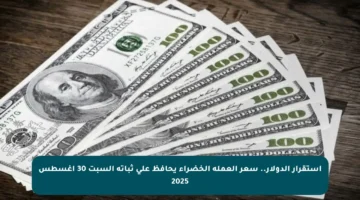 استقرار الدولار.. سعر العملة الخضراء يحافظ على ثباته السبت 30 أغسطس 2025